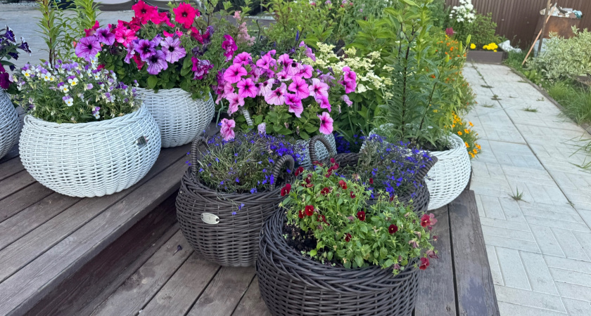 Мини-цветник перед домом: как на маленьком пространстве под окном сделать по-настоящему идеальную клумбу