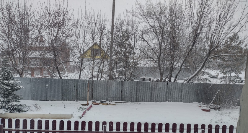 В 2025 году январь был аномально теплым, каким он будет в 2026 году