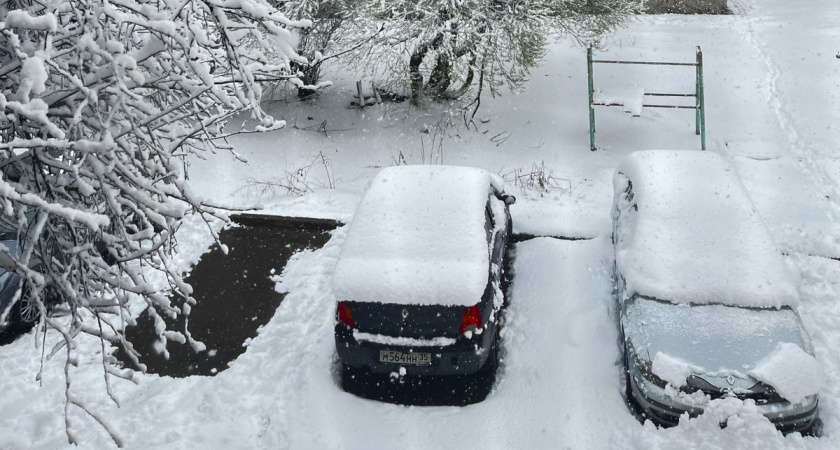 «Январь и февраль дадут всем прикурить». Синоптики сообщили, к чему готовиться
