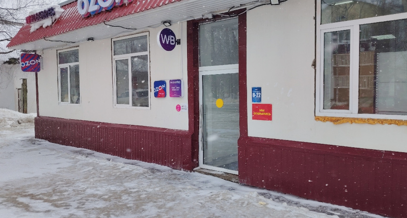 13 крутых штук с Wildberries: упрощаем быт и добавляем уюта