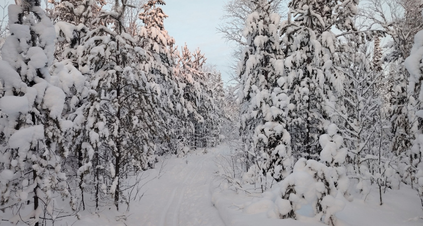 Жителей Ирбита ждет морозная погода без осадков