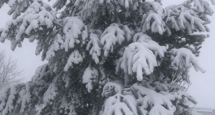 «Неделя с 14 января будет самой странной в XXI веке». Синоптики сказали, к чему готовиться