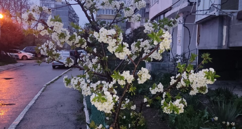 «Февраль и март будут сумасшедшими». Синоптики сообщили, к чему готовиться