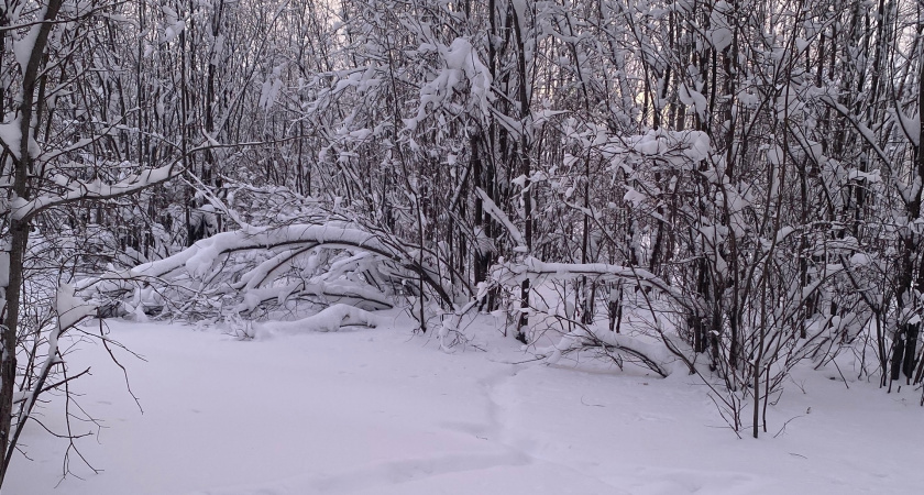 Пришли новые данные: синоптики резко ухудшили прогноз погоды с 18 января