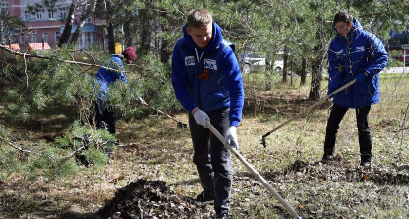 В Свердловской области утвердили комплексную поддержку для волонтёров