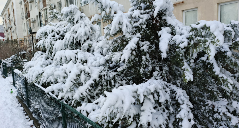 «Следующая неделя будет самая экстремальная в XXI веке». Синоптики сказали, что будет 19-20 января