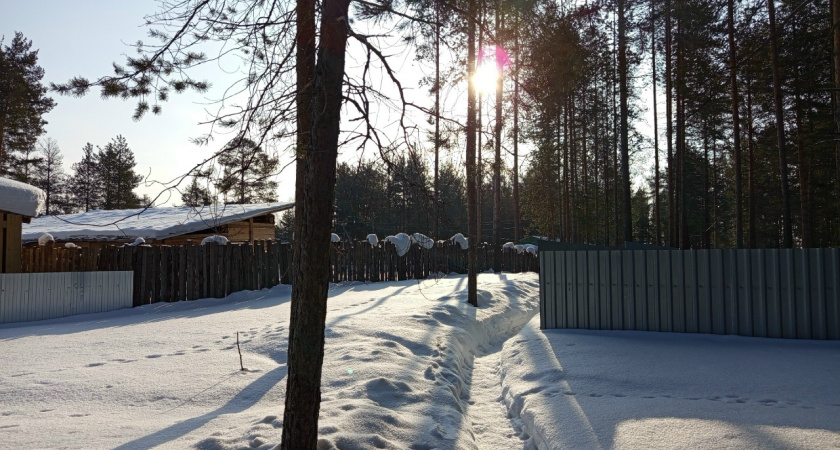 Свердловскую область накрыло кратковременное потепление перед возвращением сильных морозов