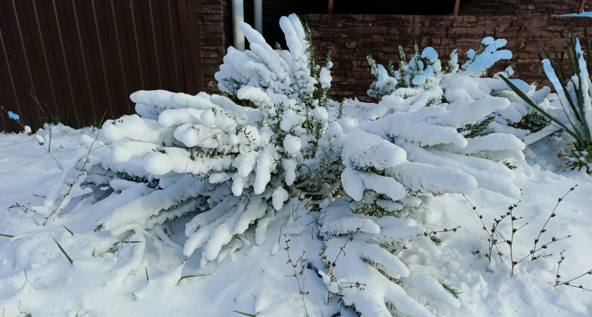 «Неделя с 21 января нас всех подставит». Синоптики сказали, к чему готовиться