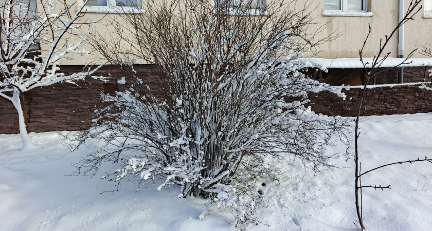 «Март устроит нам всем подставу». Синоптики сообщили, к чему готовиться