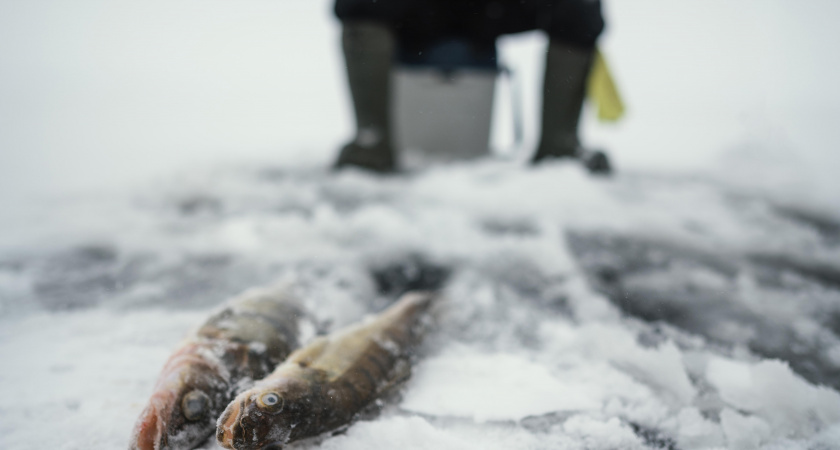 Спасатели Свердловской области назвали 4 самых опасных водоема для рыбалки