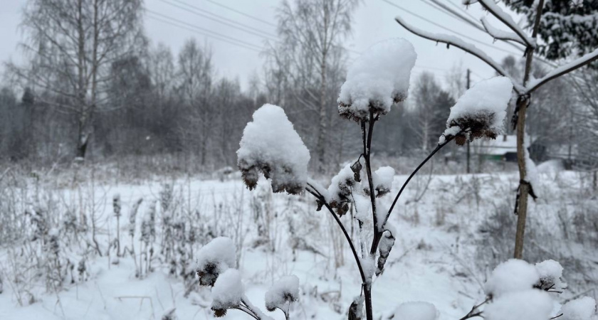 На Свердловскую область 30 января обрушится сильный снегопад