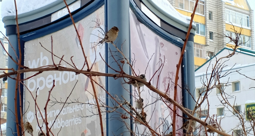 Синоптики предупредили о 30-градусных морозах Свердловской области