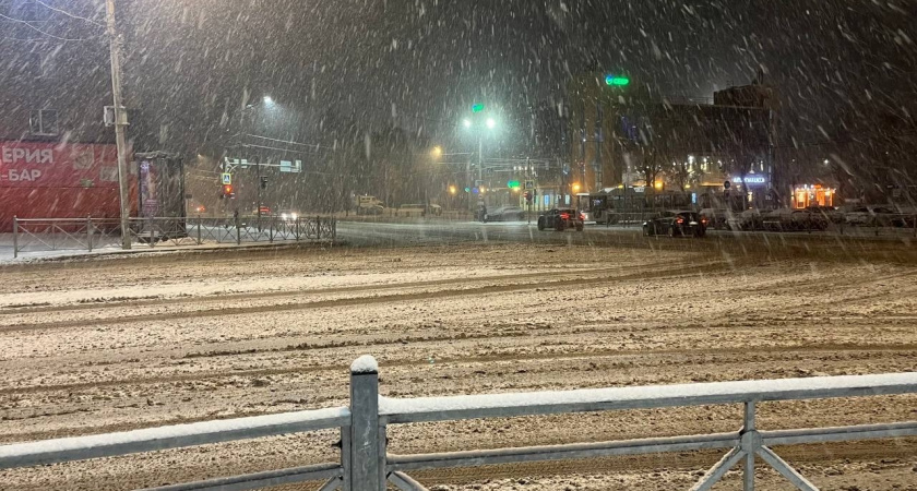 Метель и снежные заносы ожидаются в Свердловской области 2 февраля