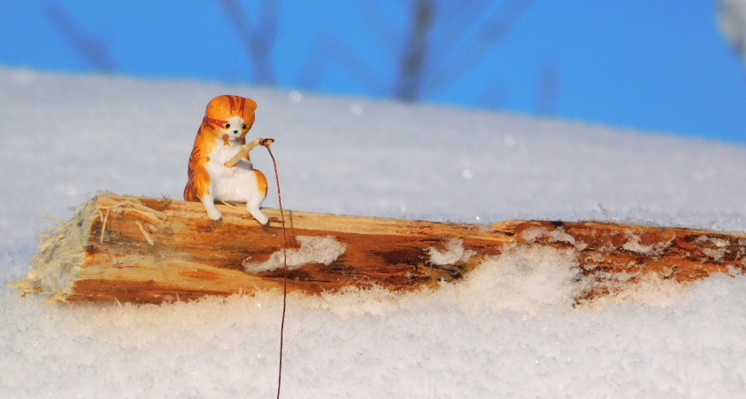 Морозы отступают с Урала: погода в Свердловской области 6 февраля