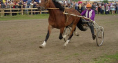 В Ирбите энтузиасты спасают единственный в округе ипподром