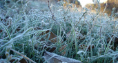 Внимание! Синоптики предупреждают о надвигающихся заморозках