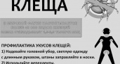 Внимание: опасная зона – Бугры и сады за Грязнушкой