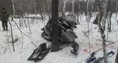 Водитель снегохода врезался в дерево