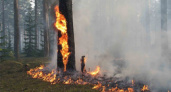 В Свердловской области продолжает бушевать 10 природных пожаров