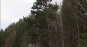 Противопожарный режим