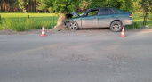 В Ирбите водитель автомобиля врезался в дерево