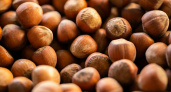 Ученые объявили самый полезный из орехов — не миндаль, не арахис и в два раза полезнее грецкого
