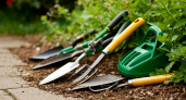 Садовые инструменты станут как новые, острыми и чистыми: от ржавчины не останется и следа — полезный лайфхак