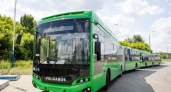 Екатеринбург обновляет автобусный парк: первые "гармошки" Volgabus уже в городе