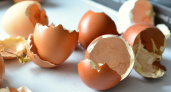 Полезно ли пить домашние сырые яйца: мнение врачей