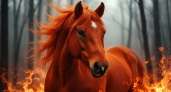 2026 год: Как задобрить Огненную Лошадь и привлечь удачу на 12 лет вперед