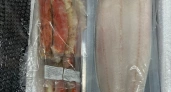 Из Свердловской области в ОАЭ экспортировали почти восемь тонн рыбной продукции