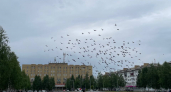 Свердловскую область ожидают прохладную погоду с дождями 2 июля