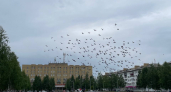 На Урале прогнозируют интенсивные осадки и порывистый ветер в ближайшие сутки