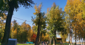 Синоптики спрогнозировали переменную облачность и тёплую погоду в Свердловской области 8 сентября