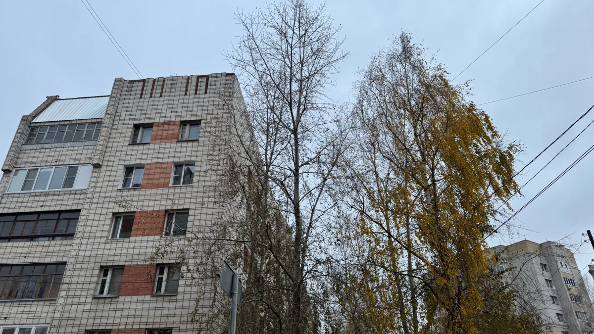 Синоптики предупредили жителей Свердловской области о порывистом ветре и кратковременных дождях