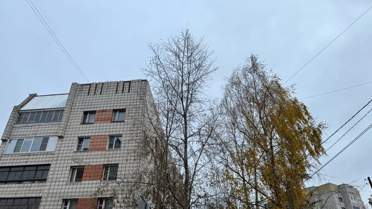 На Среднем Урале 13 октября ожидаются дожди и значительный разброс температур