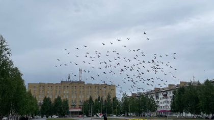 На Урале прогнозируют интенсивные осадки и порывистый ветер в ближайшие сутки