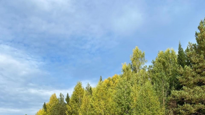 Свердловская область встретит первый день недели теплом без осадков